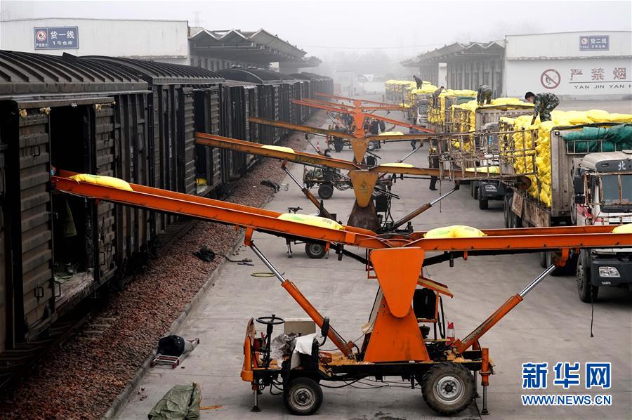 （在習(xí)近平新時(shí)代中國(guó)特色社會(huì)主義思想指引下&mdash;&mdash;新時(shí)代新作為新篇章&middot;習(xí)近平總書(shū)記關(guān)切事&middot;圖文互動(dòng)）（5）食為政首&mdash;&mdash;穩(wěn)住農(nóng)業(yè)基本盤(pán)增添發(fā)展底氣