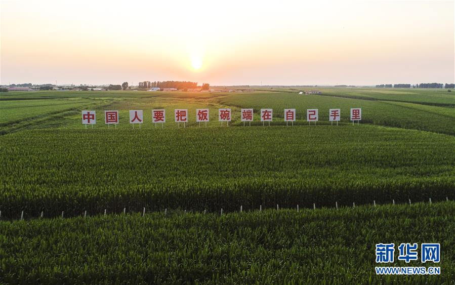 （在習近平新時代中國特色社會主義思想指引下&mdash;&mdash;新時代新作為新篇章&middot;習近平總書記關(guān)切事&middot;圖文互動）（1）讓百姓吃得飽還要吃得好&mdash;&mdash;夯實糧食安全基礎(chǔ)端牢中國飯碗