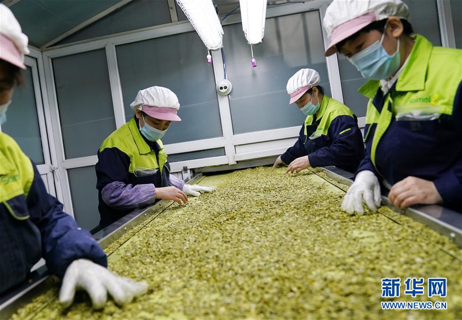 （在習(xí)近平新時(shí)代中國(guó)特色社會(huì)主義思想指引下&mdash;&mdash;新時(shí)代新作為新篇章&middot;習(xí)近平總書記關(guān)切事&middot;圖文互動(dòng)）（5）激發(fā)每個(gè)經(jīng)濟(jì)&ldquo;細(xì)胞&rdquo;的活力&mdash;&mdash;千方百計(jì)把市場(chǎng)主體保護(hù)好