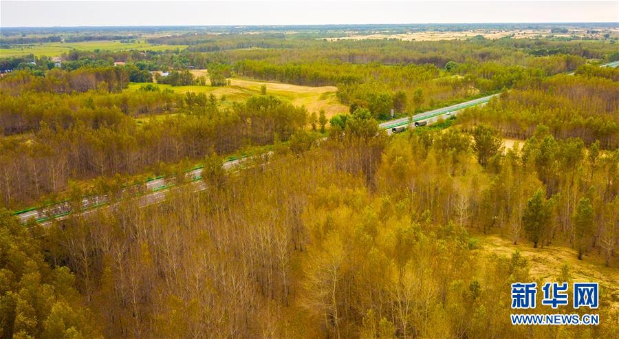 （在習(xí)近平新時代中國特色社會主義思想指引下&mdash;&mdash;新時代新作為新篇章&middot;習(xí)近平總書記關(guān)切事&middot;圖文互動）（3）綠意，在黃沙中鋪展&mdash;&mdash;我國防沙治沙紀(jì)實(shí)