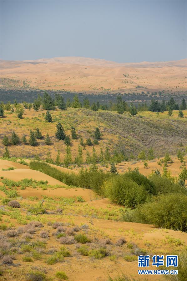 （在習(xí)近平新時代中國特色社會主義思想指引下&mdash;&mdash;新時代新作為新篇章&middot;習(xí)近平總書記關(guān)切事&middot;圖文互動）（6）綠意，在黃沙中鋪展&mdash;&mdash;我國防沙治沙紀(jì)實(shí)