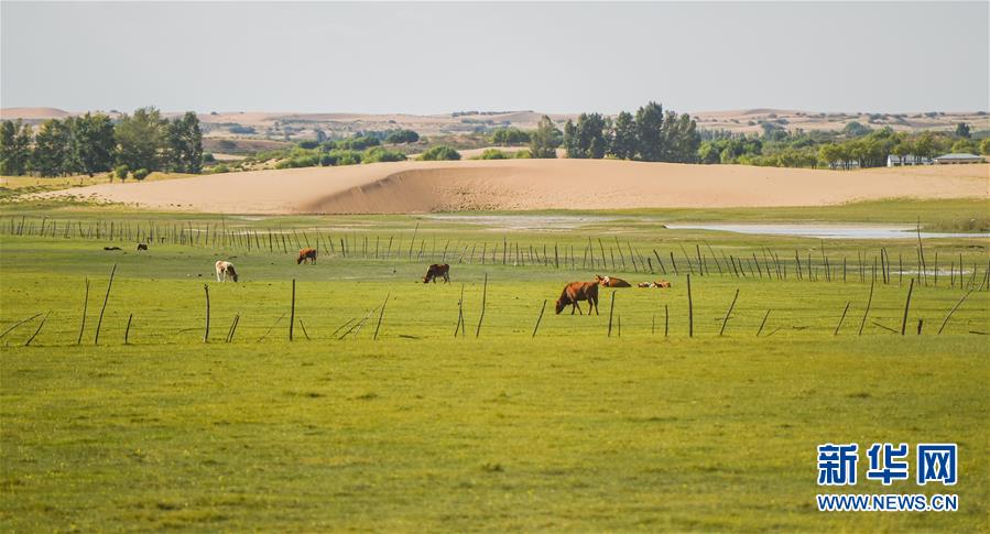 （在習(xí)近平新時代中國特色社會主義思想指引下&mdash;&mdash;新時代新作為新篇章&middot;習(xí)近平總書記關(guān)切事&middot;圖文互動）（9）綠意，在黃沙中鋪展&mdash;&mdash;我國防沙治沙紀(jì)實(shí)