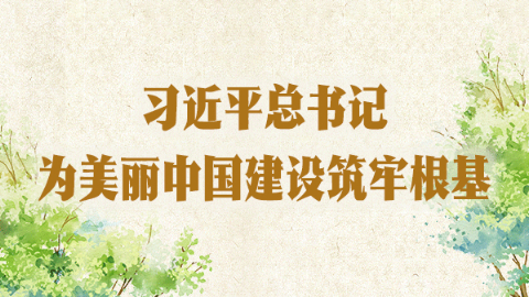 習(xí)近平總書記為美麗中國(guó)建設(shè)筑牢根基