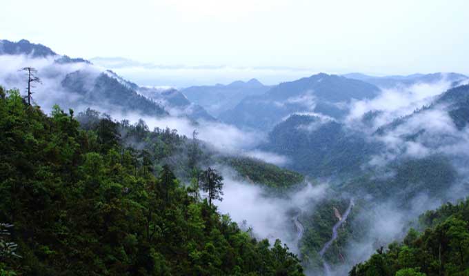 廣東乳源、廣東乳陽林場、云南華寧葫蘆口電站