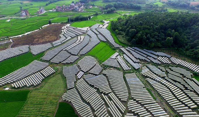 【建黨95周年&middot;光輝歷程】打贏脫貧攻堅(jiān)戰(zhàn)