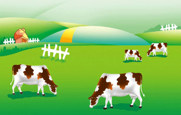 醬紫的內(nèi)蒙古，約嗎