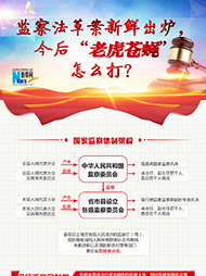 監(jiān)察法草案新鮮出爐 今后&ldquo;老虎蒼蠅&rdquo;怎么打？