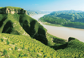 張建龍：&ldquo;三北工程&rdquo;實現(xiàn)生態(tài)、經(jīng)濟、社會效益&ldquo;多贏&rdquo;