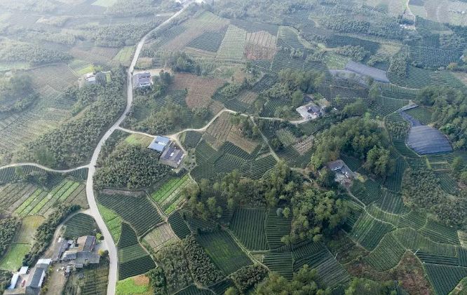 從&ldquo;富口袋&rdquo;到&ldquo;富腦袋&rdquo;&mdash;&mdash;成都探尋鄉(xiāng)村振興的文化力量