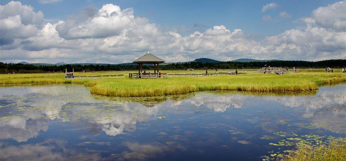 那一抹綠色，走進(jìn)越來越多人心里&mdash;&mdash;河北塞罕壩續(xù)寫新時(shí)代綠色傳奇