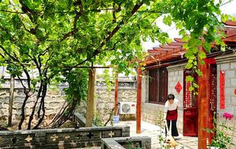 &ldquo;葡萄之鄉(xiāng)&rdquo;河北昌黎打造精品民宿助推全域旅游升級(jí)