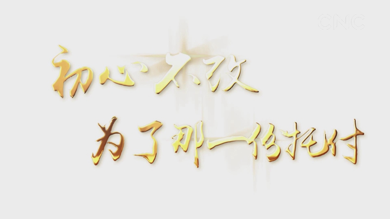 初心不改，為了那一份托付