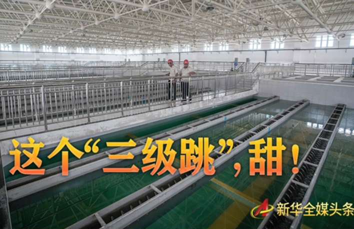 這個(gè)&ldquo;三級(jí)跳&rdquo;，甜！