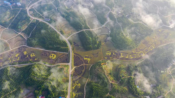 百城千縣萬村調(diào)研行｜在三峽橘鄉(xiāng)，遇見最美的田園時光！