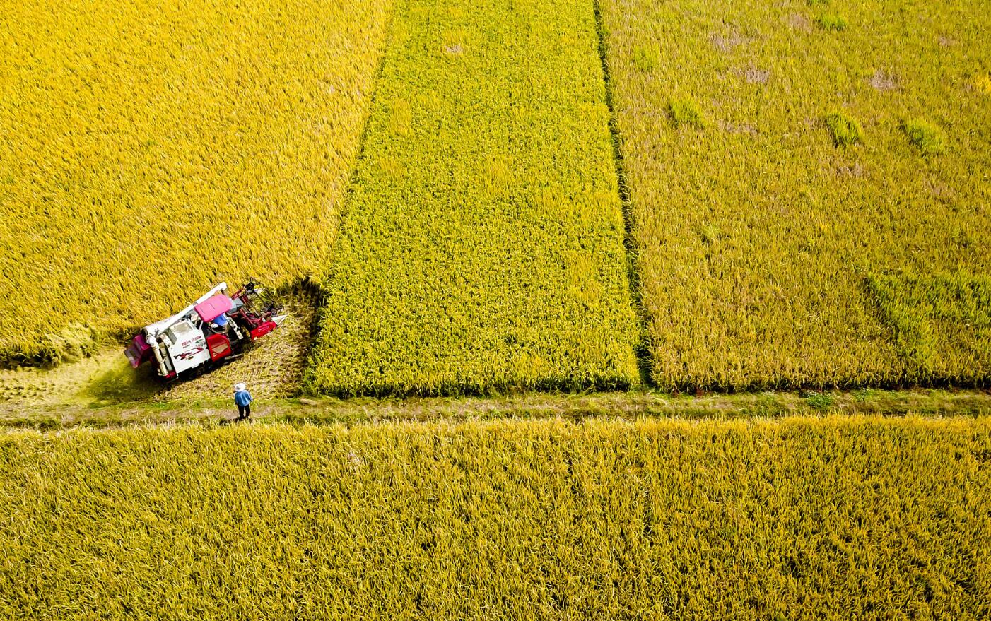 我國糧食生產(chǎn)實(shí)現(xiàn)&ldquo;十七連豐&rdquo;