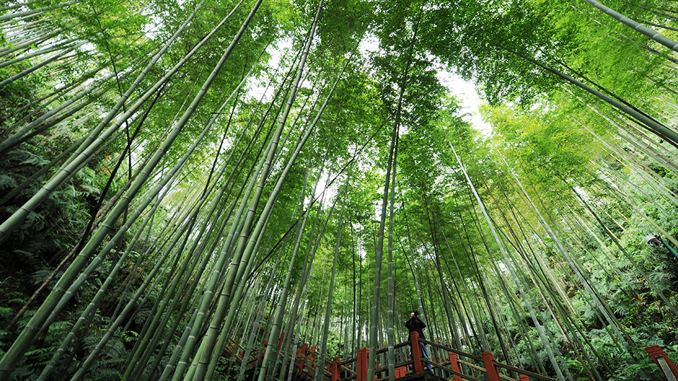 合作共治、責(zé)任共擔(dān)、效益共享&mdash;&mdash;赤水河流域跨省生態(tài)補償取得積極成效