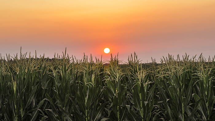 風(fēng)卷紅旗過大關(guān)&mdash;&mdash;以習(xí)近平同志為核心的黨中央領(lǐng)航中國為實(shí)現(xiàn)第一個百年奮斗目標(biāo)而奮勇拼搏紀(jì)實(shí)