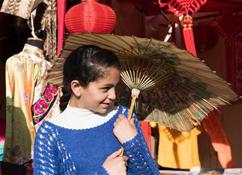 埃及舉辦第四屆&ldquo;法老村&rdquo;國(guó)際文化節(jié)