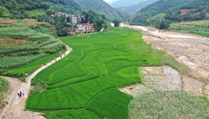 &ldquo;孤島&rdquo;救援記