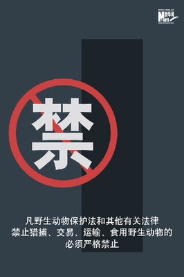 向非法野生動物交易、濫食野生動物陋習(xí)亮劍