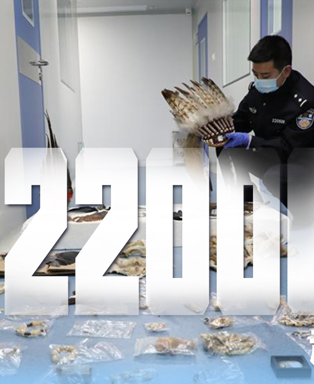 抗疫有&ldquo;法&rdquo;，就是這么給力！