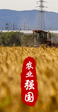 農(nóng)業(yè)強(qiáng)國(guó)是社會(huì)主義現(xiàn)代化強(qiáng)國(guó)的根基。