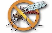 夏季，常見蚊蟲如何應(yīng)對(duì)