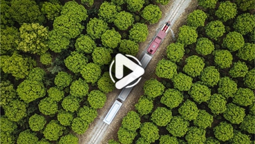 第十一集：你好！地球衛(wèi)士