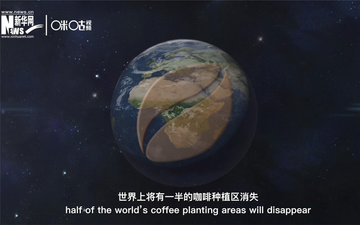 科學(xué)家預(yù)測(cè)到三十年后，世界上將有一半的咖啡種植區(qū)消失