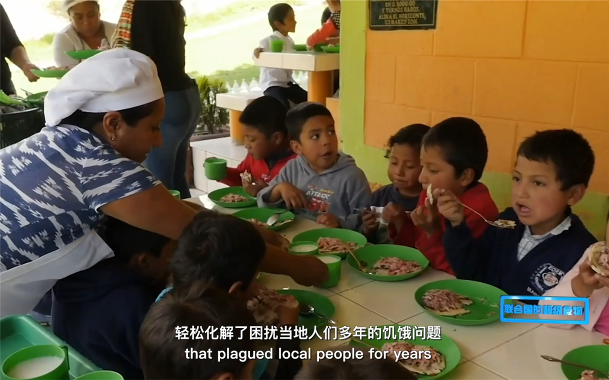 藜麥的蹤跡遍布北美、歐洲、亞洲和非洲多地