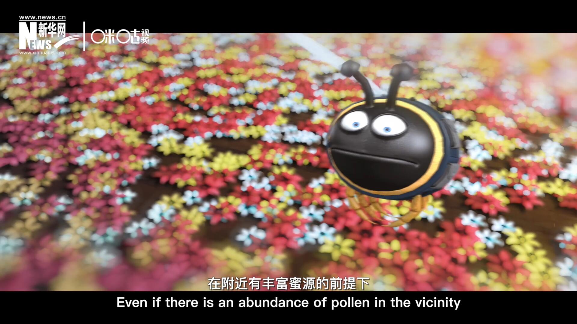 你知道一只蜜蜂采一公斤蜜有多辛苦嗎？據(jù)統(tǒng)計(jì)，在附近有豐富蜜源的前提下，一只蜜蜂大約需要飛行四萬千米