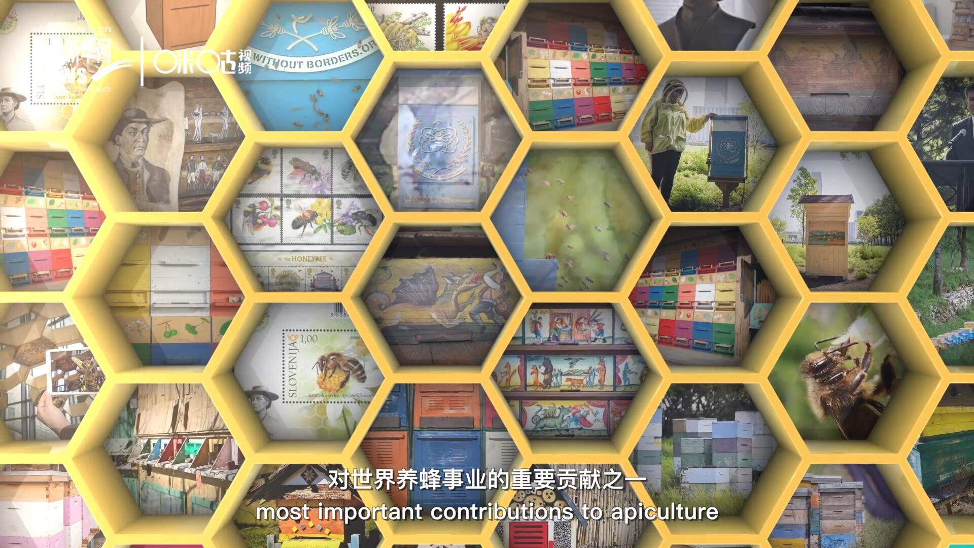 他開始用色彩豐富的畫作來裝飾蜂巢的前板，幫助不同蜂群按照習(xí)性和顏色順利找到自己的蜂巢