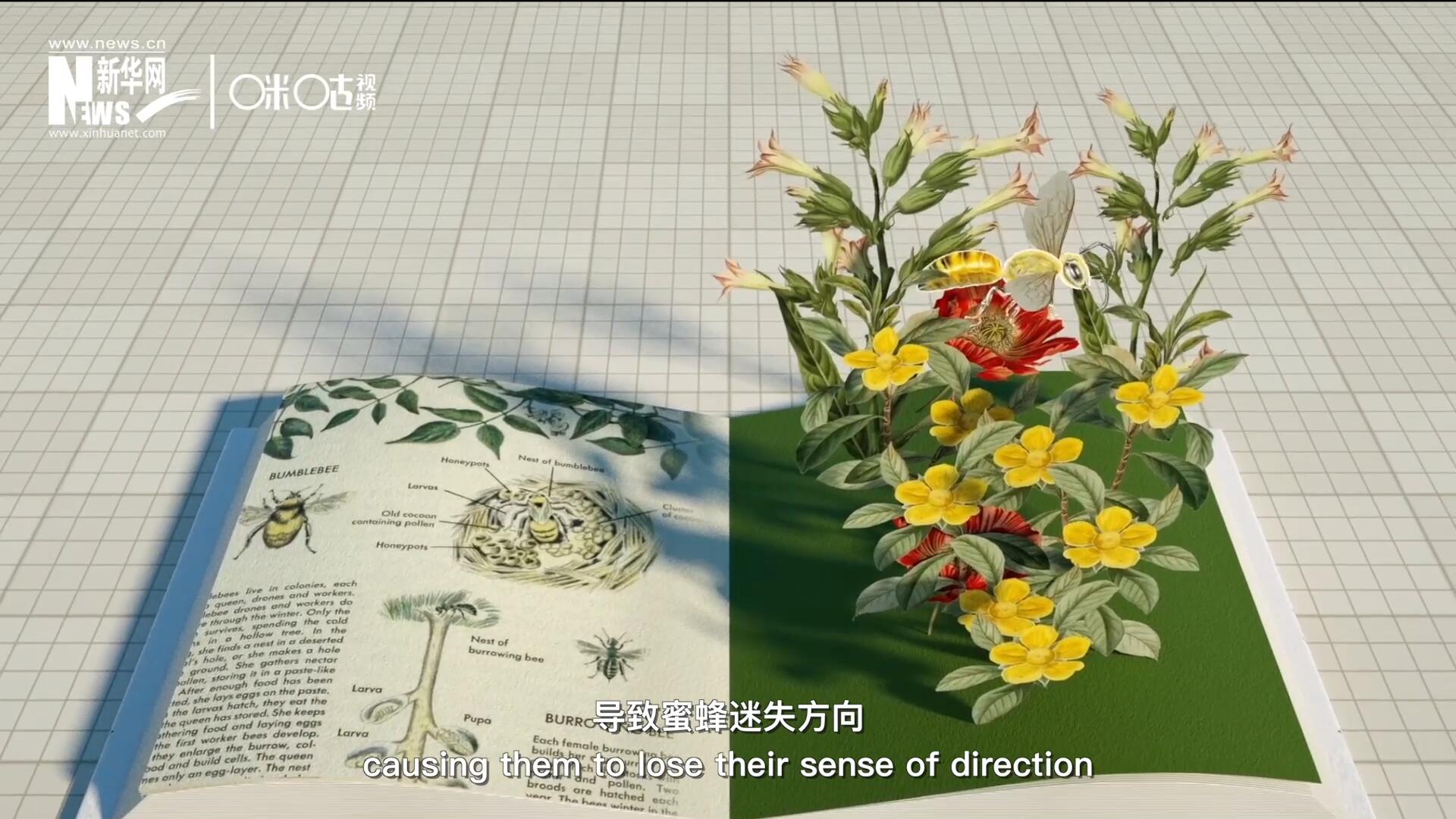 殺蟲劑會(huì)破壞蜜蜂的神經(jīng)系統(tǒng)，導(dǎo)致蜜蜂迷失方向，無法回到蜂房，還會(huì)降低蜜蜂的抵抗力