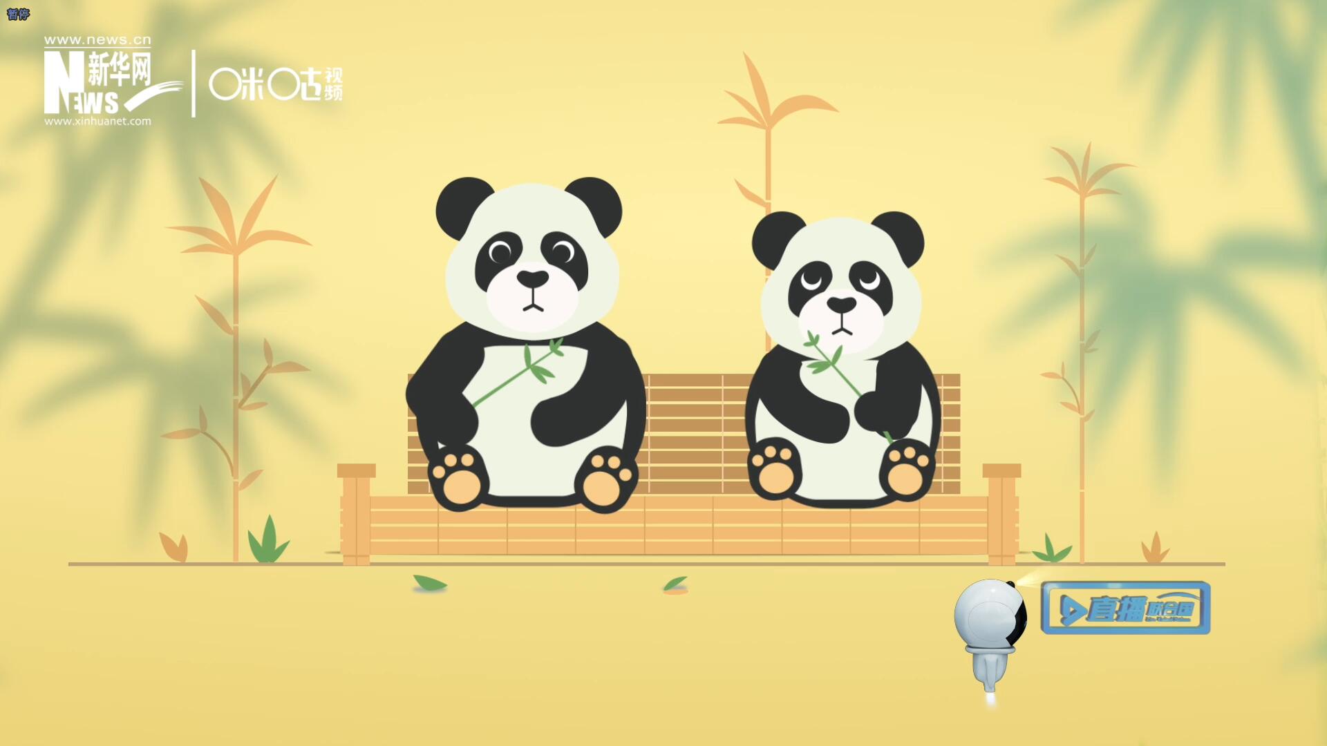 &ldquo;哥哥你看，又有人來看我們了。&rdquo;&ldquo;有什么奇怪的，我們可是聯(lián)合國&lsquo;最萌&rsquo;的大使??！&rdquo;。