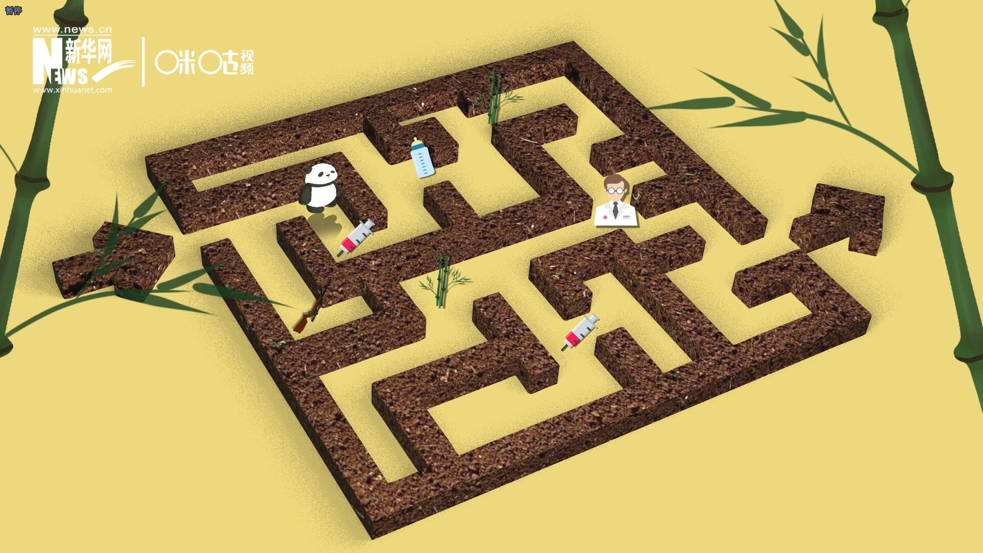 2016年，國際自然保護聯(lián)盟將大熊貓的物種瀕危等級，從&ldquo;瀕危&rdquo;下降到了&ldquo;易危&rdquo;。