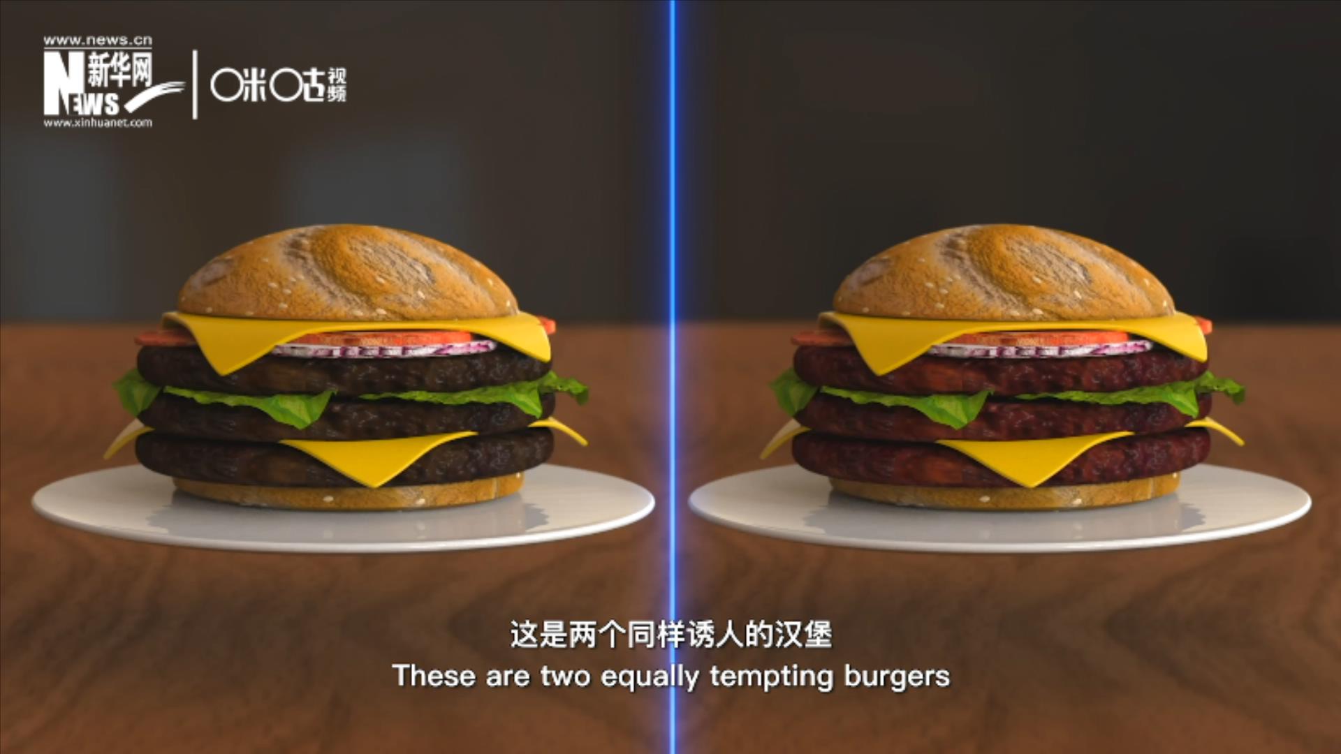 人造肉漢堡能在生產(chǎn)過程中節(jié)約水、土地、排放以及能量