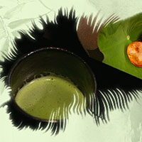 熱茶與伏天的關(guān)系，只有清涼