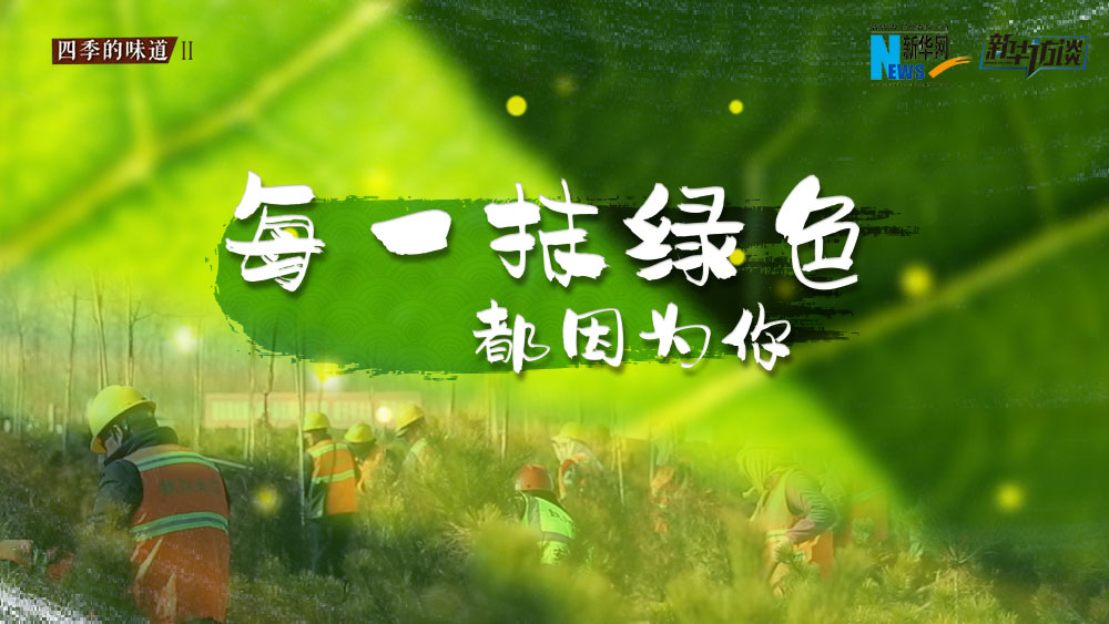 千年秀林，每一抹綠色都因為你