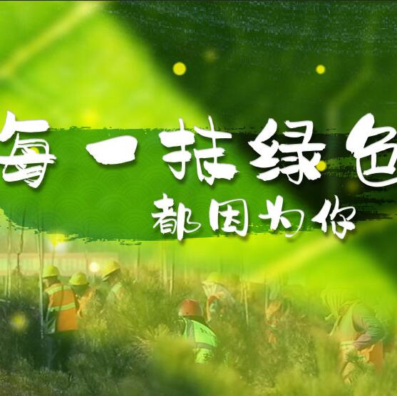 千年秀林，每一抹綠色都因?yàn)槟? /></a>       
<div   id=