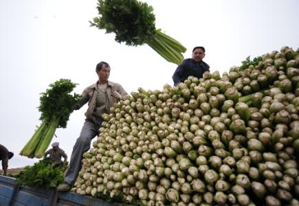 劉永富：發(fā)展產(chǎn)業(yè)脫貧仍是精準(zhǔn)扶貧、精準(zhǔn)脫貧主攻方向