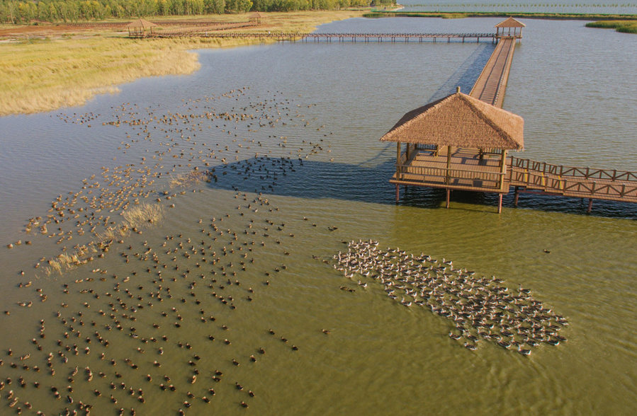新華微評(píng)&middot;學(xué)習(xí)路上：生態(tài)興，百業(yè)旺
