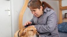 &ldquo;有你在身旁，真好&rdquo;