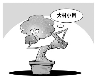 自認&ldquo;大材小用&rdquo;，不如腳踏實地