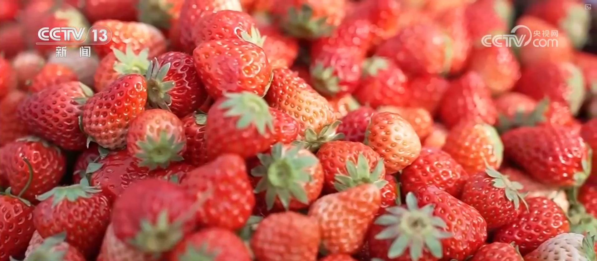 逛市集、赏非遗、买年货 来传统大集感受年味 在文化与烟火气中喜迎佳节