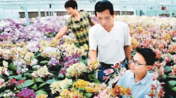 臺(tái)商眼中的改革開放：風(fēng)景這邊獨(dú)好 要去，要去，要去！