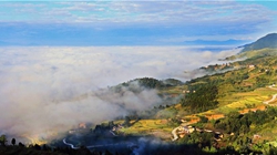 臺(tái)胞臺(tái)商熱議陜西惠臺(tái)&ldquo;60條&rdquo;：期盼落實(shí)、共享機(jī)遇