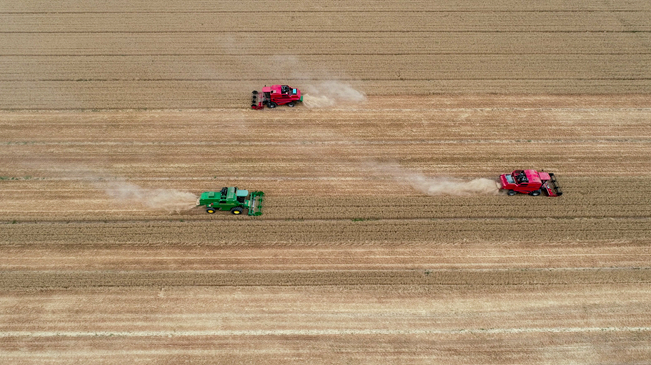 【&ldquo;飛閱&rdquo;中國(guó)】黃河兩岸，麥浪翻滾遍地金