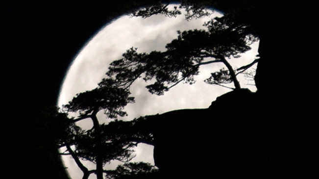 太驚艷！明月奇松 夢(mèng)幻同框