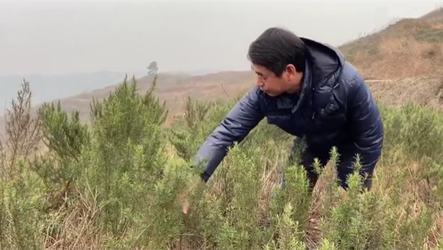 新春走基層｜脫貧后，駐村扶貧隊(duì)長(zhǎng)在干啥？