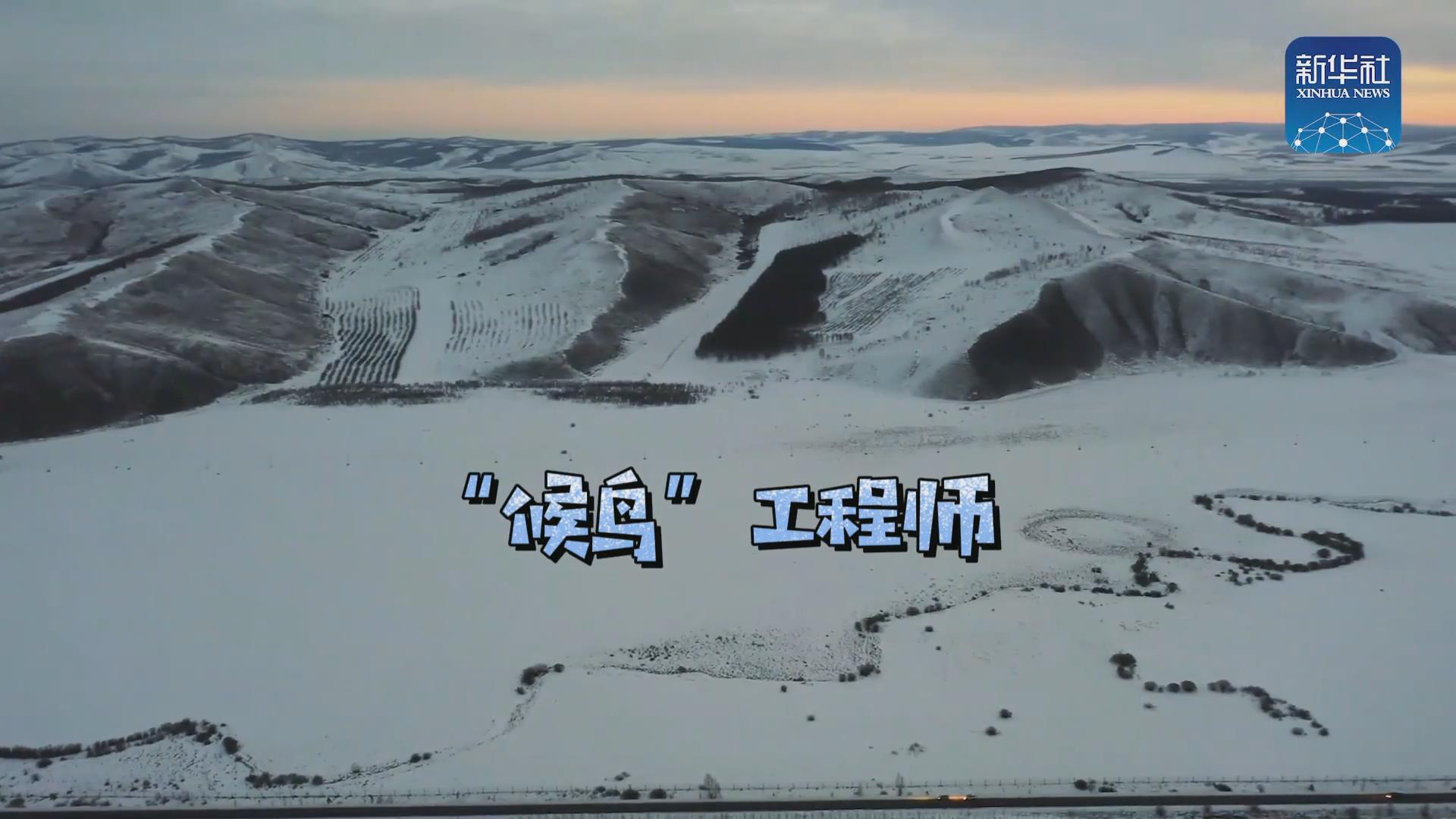 我們?cè)诒寂茇宦废虮?！他是逆行?ldquo;候鳥&rdquo;